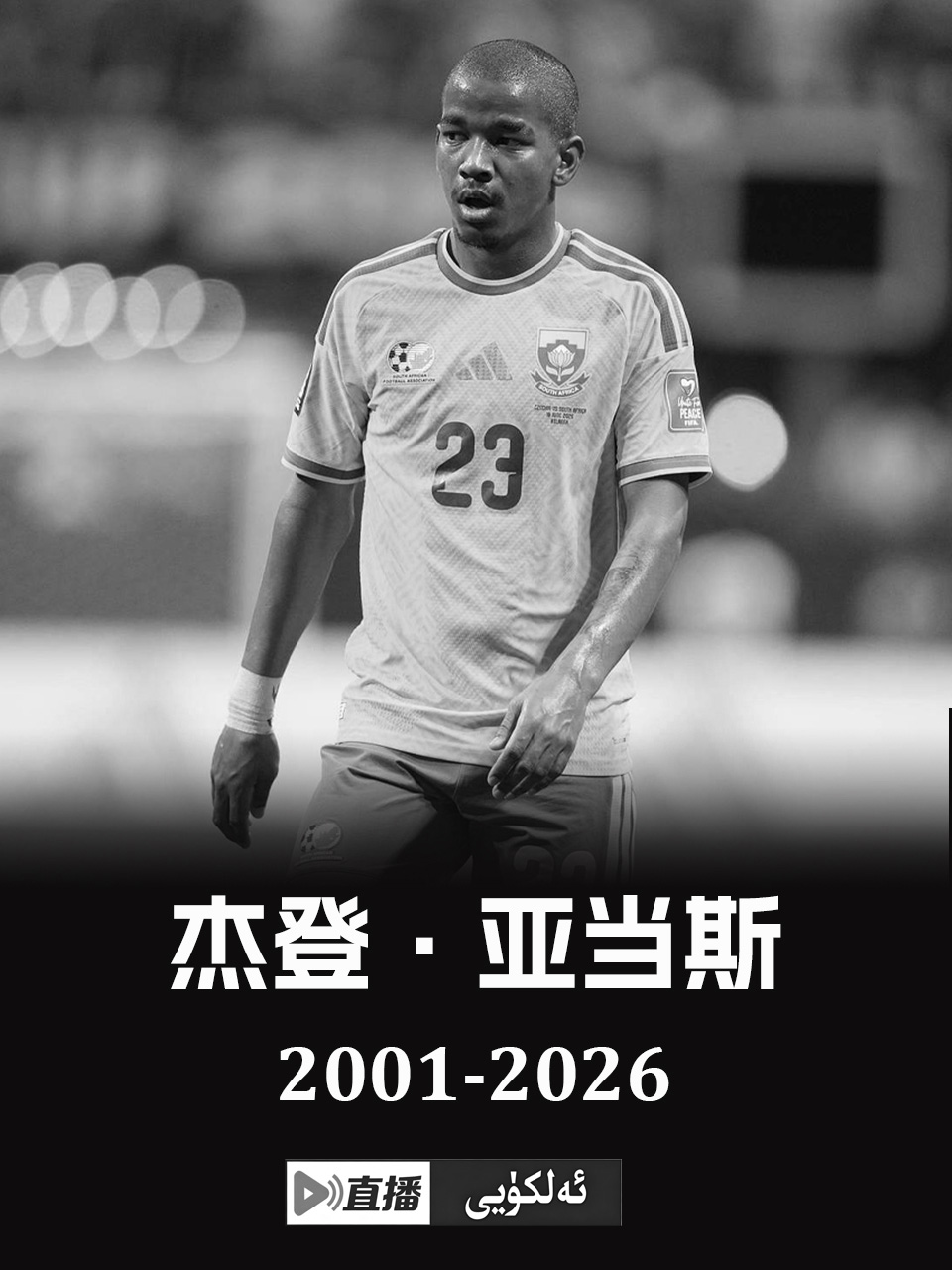 4343未标题-2.jpg