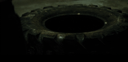 8.gif